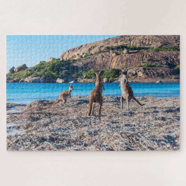 Puzzle Kangaroo face à la plage, 1014 pièces (Horizontal)