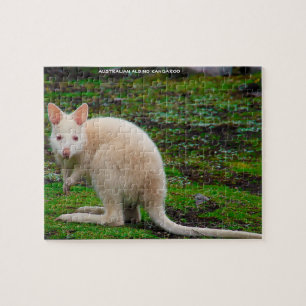 Puzzle Kangourou albinos australien