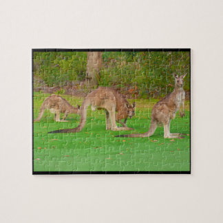 Puzzle kangourous