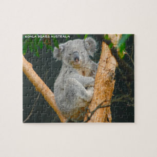 Puzzle Kaola Bears Australie