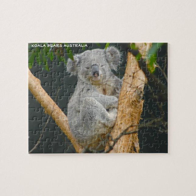 Puzzle Kaola Bears Australie (Horizontal)