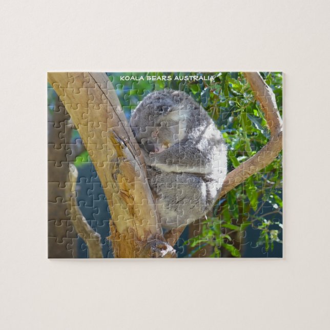 Puzzle Kaola Bears Australie (Horizontal)