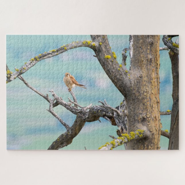 Puzzle Kestrel américain (Horizontal)