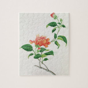 Puzzle Ketmie