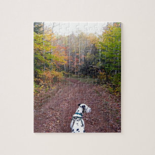 Puzzle Kevin le Dalmate