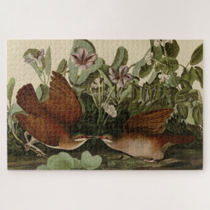 Puzzle Key-west Dove, Quail-Dove Audubon Birds of America