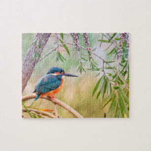 Puzzle Kingfisher Perché sur la branche