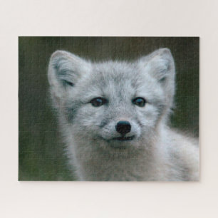 Puzzle Kit de Fox arctique des images   de Getty