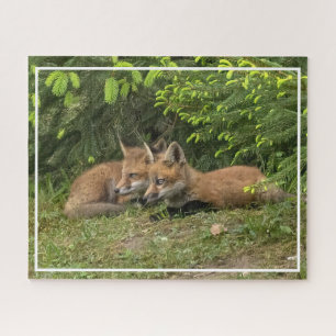 Puzzle Kit Fox Pals