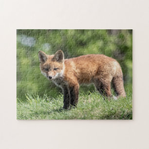 Puzzle Kit Red Fox