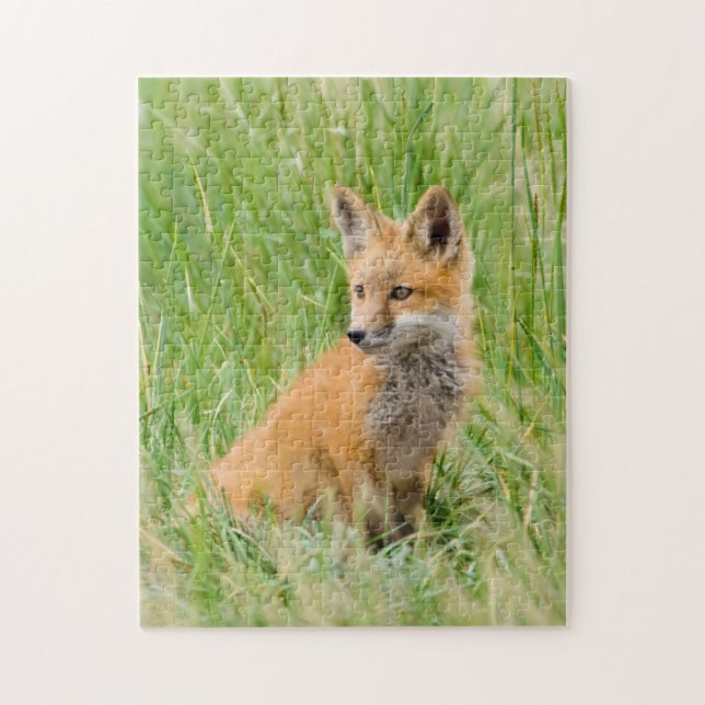 Puzzle Kit Renard rouge dans l'herbe près de la tanière (Vertical)