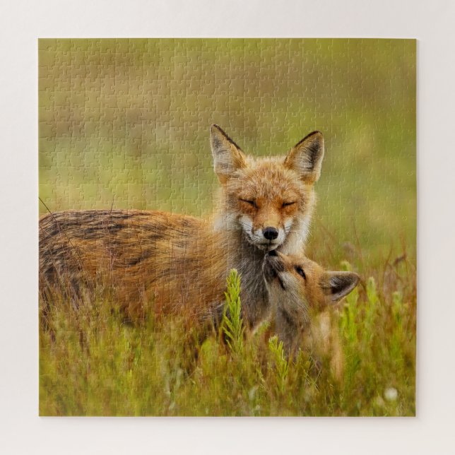 Puzzle Kit Renard Rouge vers le haut de Momma (Vertical)