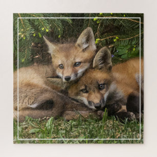 Puzzle Kits de Fox