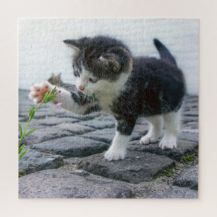 Puzzle Kitten joueur