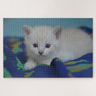 puzzle kitten minuscule