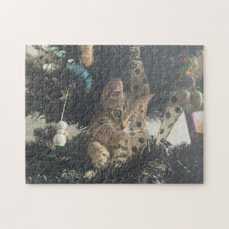 Puzzle Kitten Photo Animal Pet Cat