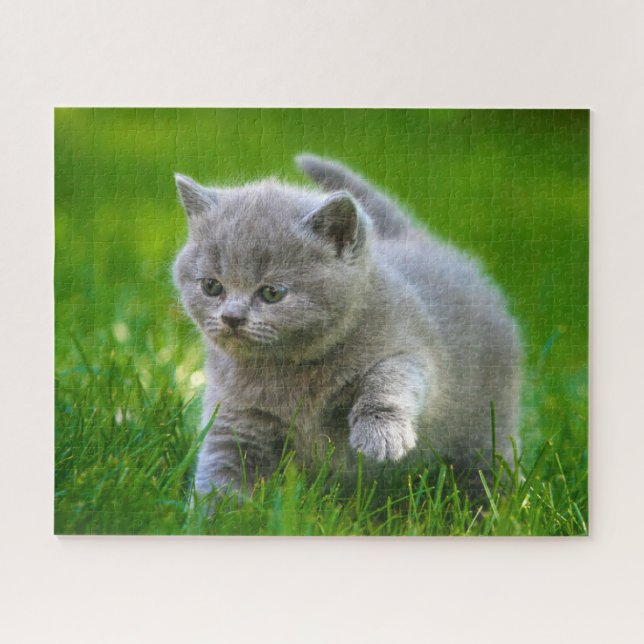 Puzzle - Kittens at play (Horizontal)