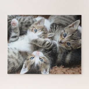 Puzzle Kittens Jigsaw