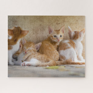 Puzzle Kittens Jigsaw