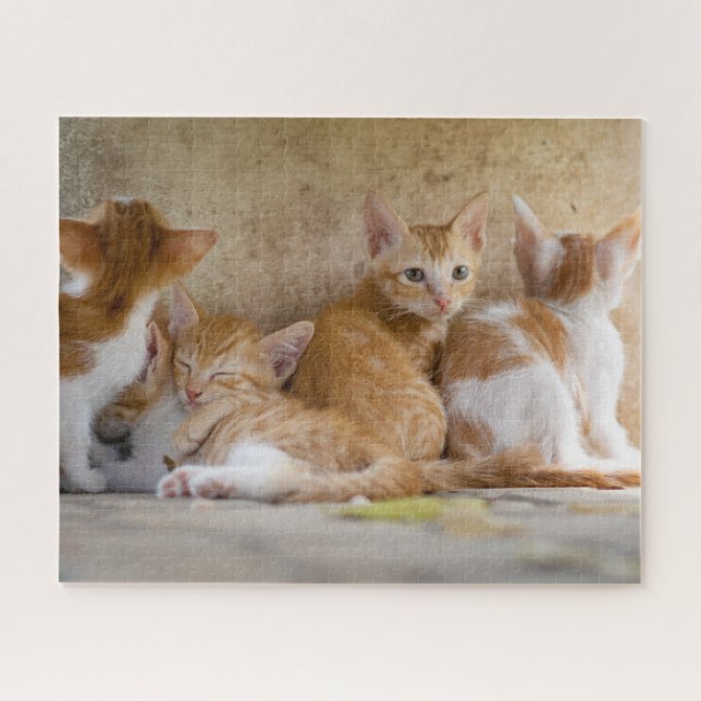 Puzzle Kittens Jigsaw (Horizontal)
