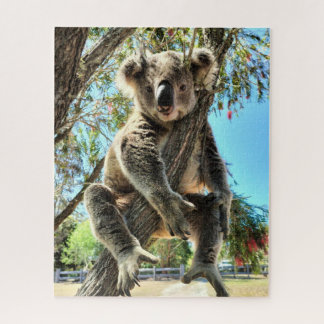 Puzzle Koala