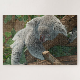 Puzzle Koala