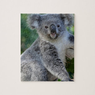 Puzzle Koala australien câlin mignon