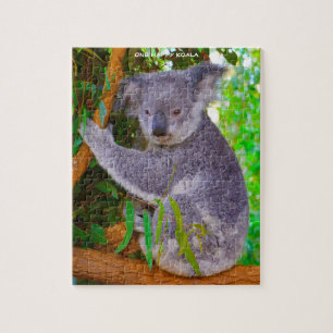 Puzzle Koala Bears