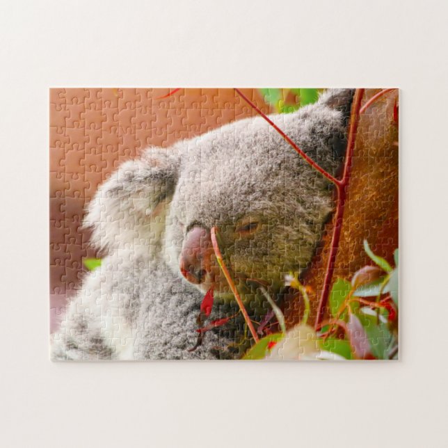 Puzzle Koala Bears. (Horizontal)