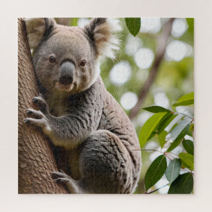 Puzzle Koala Escalade un arbre