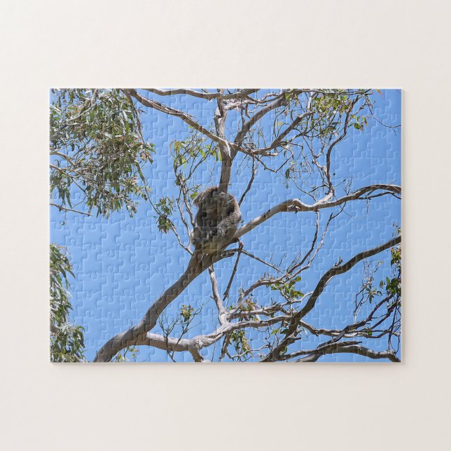 Puzzle Koala Nap (Horizontal)