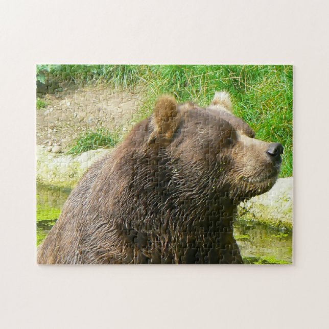 Puzzle Kodiak Bears. (Horizontal)