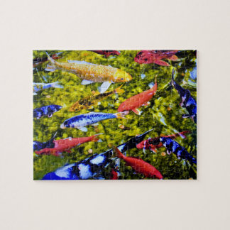 Puzzle Kolorful Kauai Koi