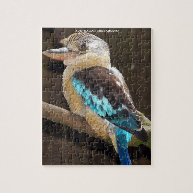 Puzzle Kookaburra australien (Vertical)