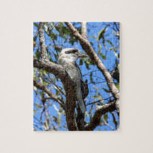 PUZZLE KOOKABURRA QUEENSLAND RURAL AUSTRALIE