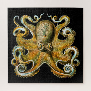 Puzzle Kraken Octopus   Animal Cool