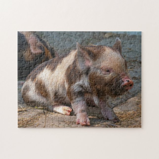 Puzzle KuneKune Piglet (Horizontal)