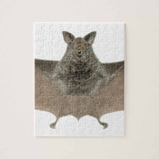 Puzzle la batte (Vertical)