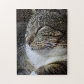 Puzzle La Belle au Bois Dormant - Chat Tigre