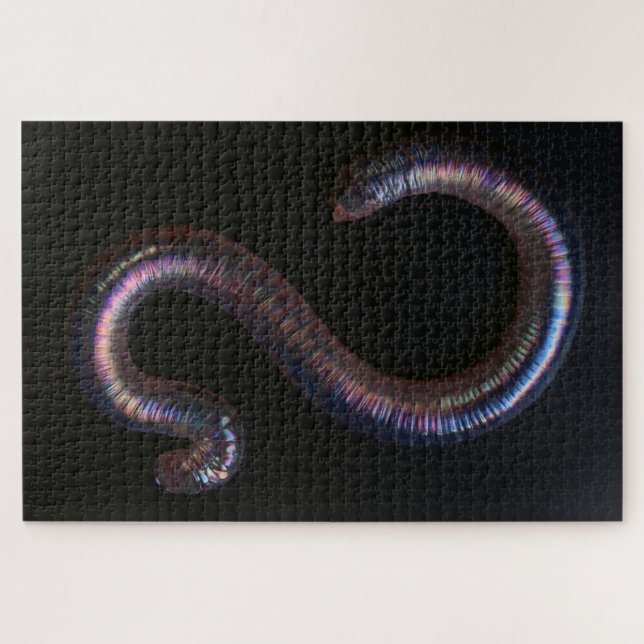 Puzzle     La Collection de Vers  (Horizontal)