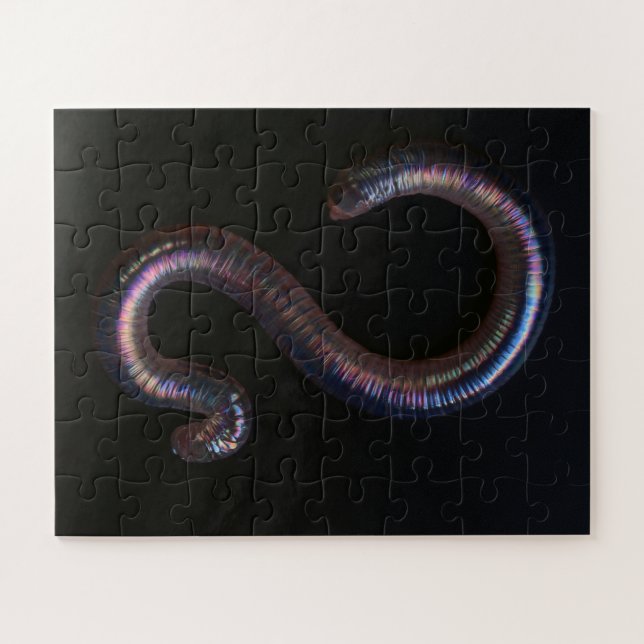 Puzzle     La Collection de Vers  (Horizontal)
