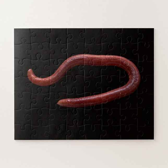 Puzzle     La Collection de Vers  (Horizontal)