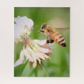 Puzzle La course tranquille d'une abeille sur du trèfle b