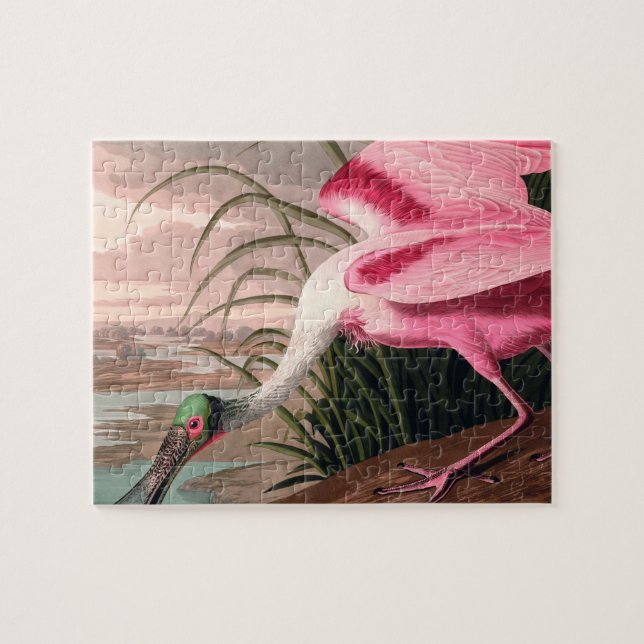 Puzzle La faune des oiseaux d'Audubon de Spoonbill Roseat (Horizontal)