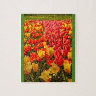 Puzzle LA FLORAISON DES TULIPES DANS UN PARC casse-tête p