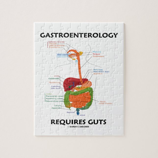 Puzzle La gastroentérologie exige des entrailles (Vertical)