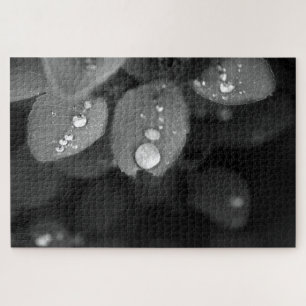 Puzzle La goutte de pluie sur une feuille