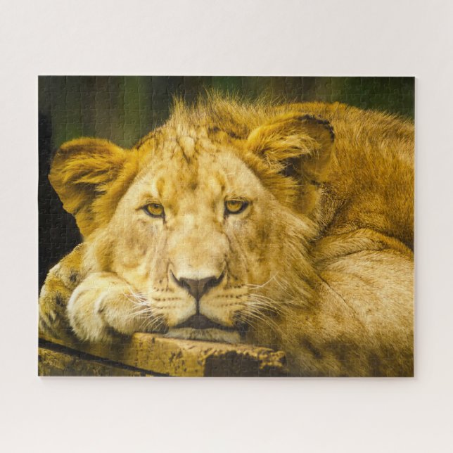 Puzzle La lionne Big Cats. (Horizontal)