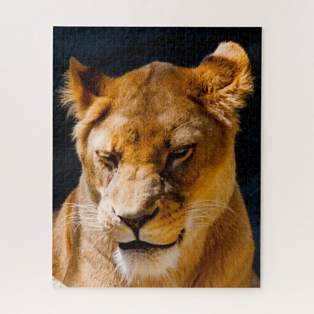 Puzzle La lionne Big Cats. (Vertical)