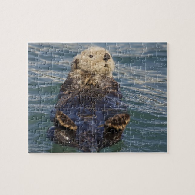 Puzzle La loutre de mer joue sur les icebergs à Surprise  (Horizontal)